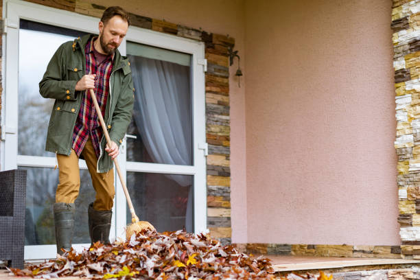 Best Trash Removal Near Me  in Remsen, IA